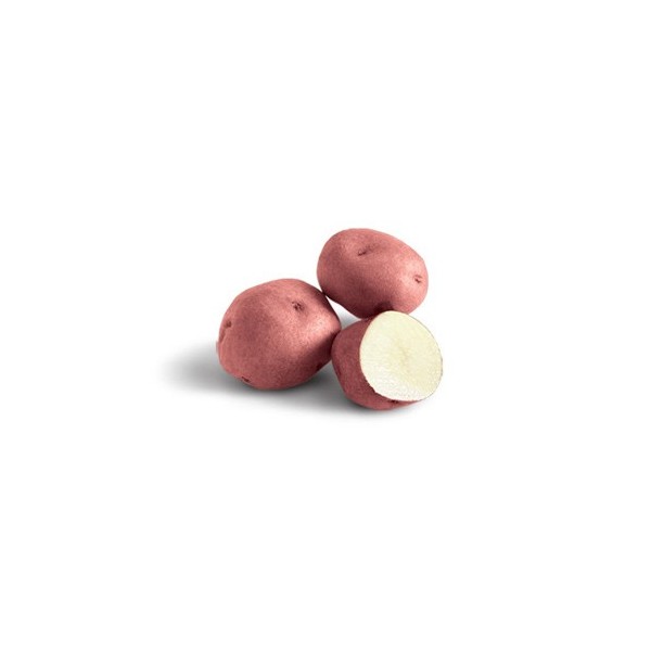 Patata vermella kg  