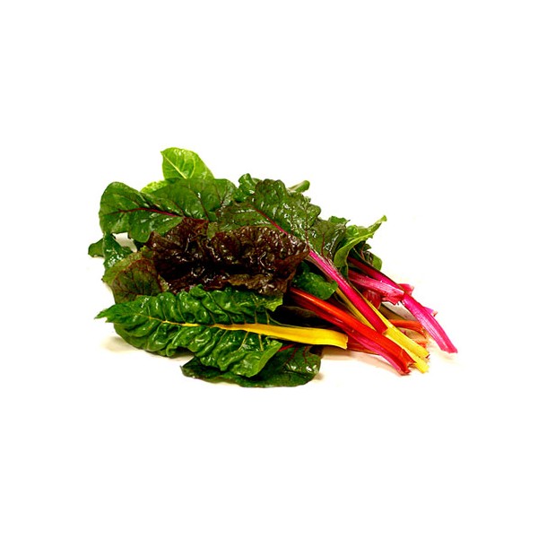 Bledes multicolors manat
