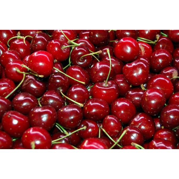 Cirera (kg)