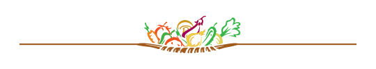 separador