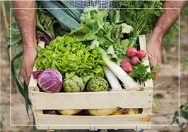 productes ecologics